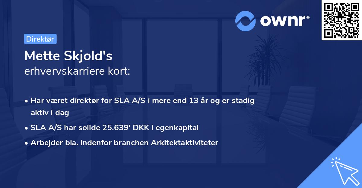 Mette Skjold's erhvervskarriere kort