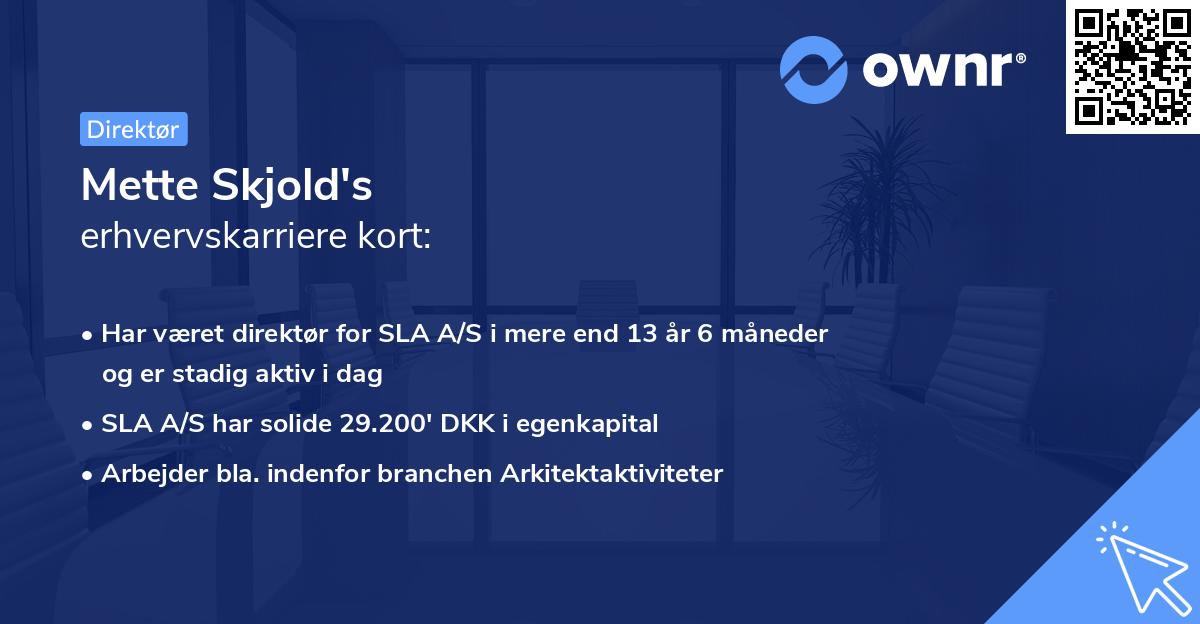 Mette Skjold's erhvervskarriere kort