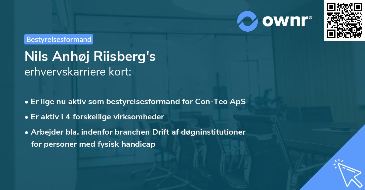 Nils Anhøj Riisberg's erhvervskarriere kort