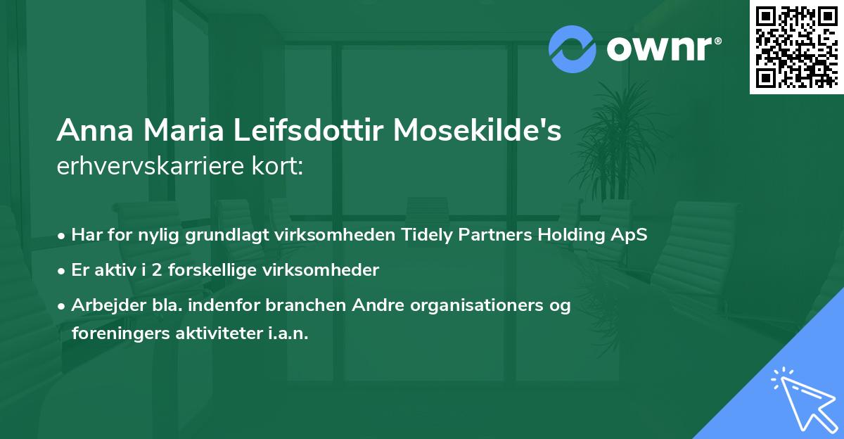 Anna Maria Leifsdottir Mosekilde's erhvervskarriere kort