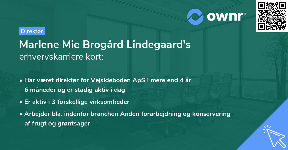 Marlene Mie Brogård Lindegaard's erhvervskarriere kort