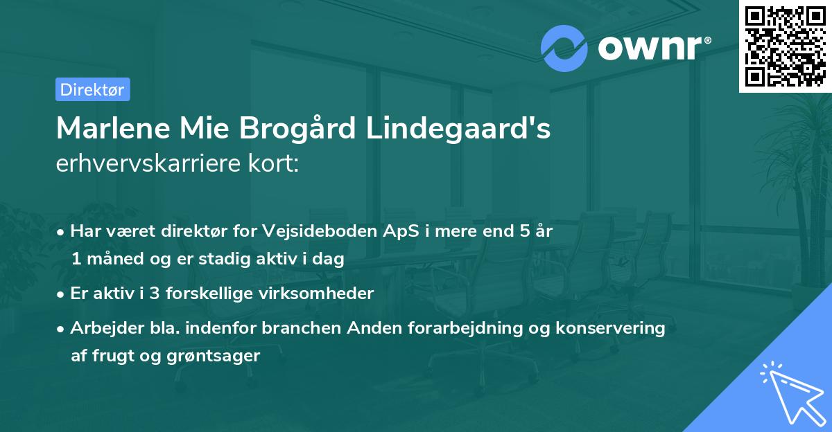 Marlene Mie Brogård Lindegaard's erhvervskarriere kort