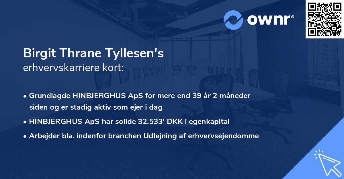 Birgit Thrane Tyllesen's erhvervskarriere kort