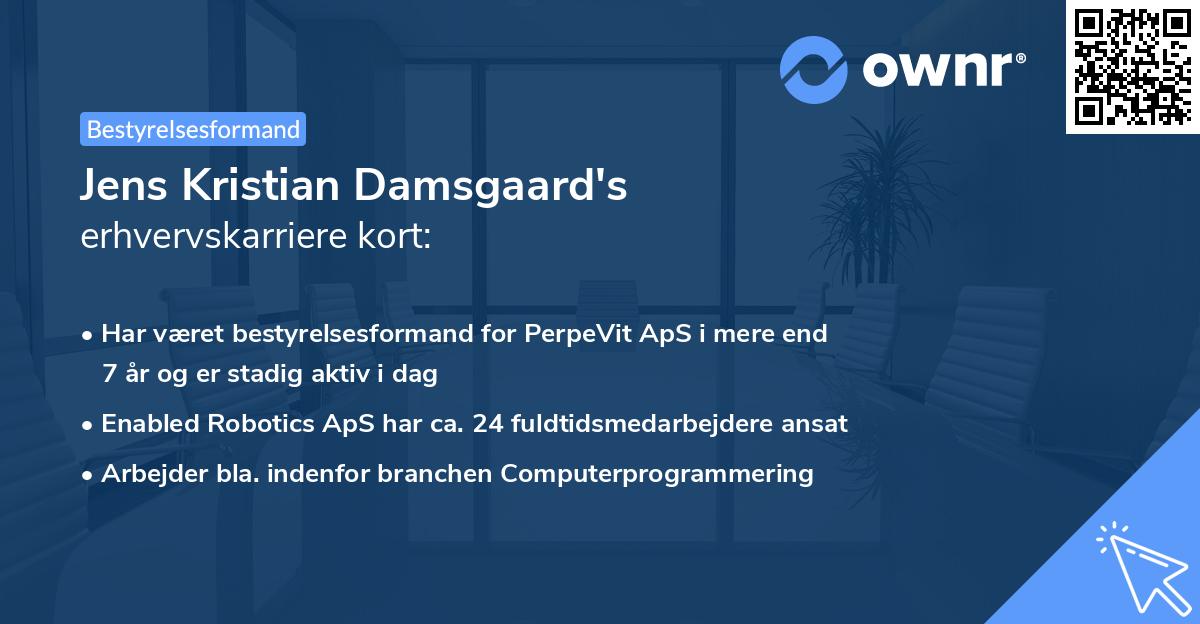 Jens Kristian Damsgaard's erhvervskarriere kort