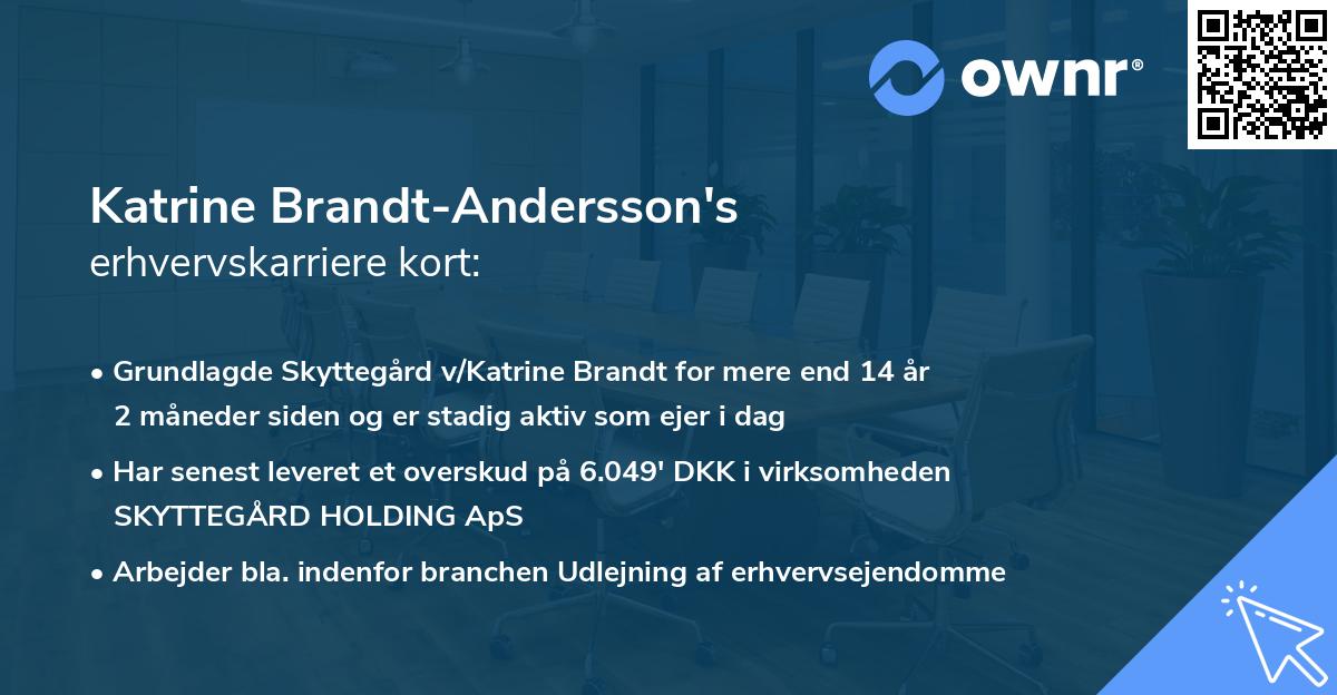 Katrine Brandt-Andersson's erhvervskarriere kort