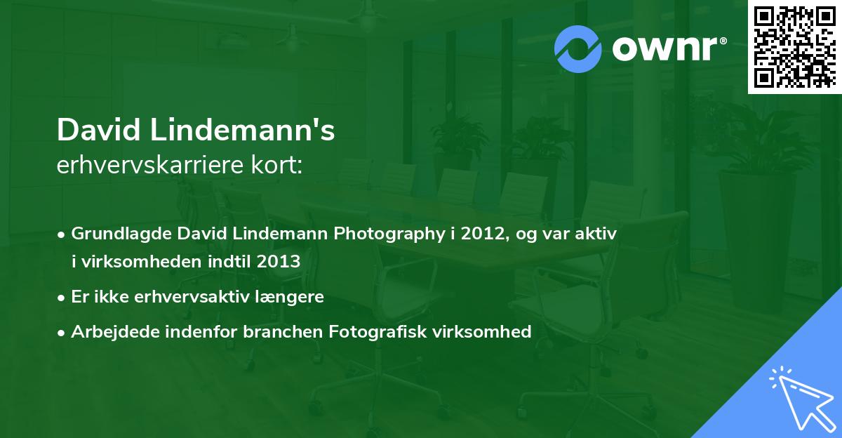David Lindemann's erhvervskarriere kort