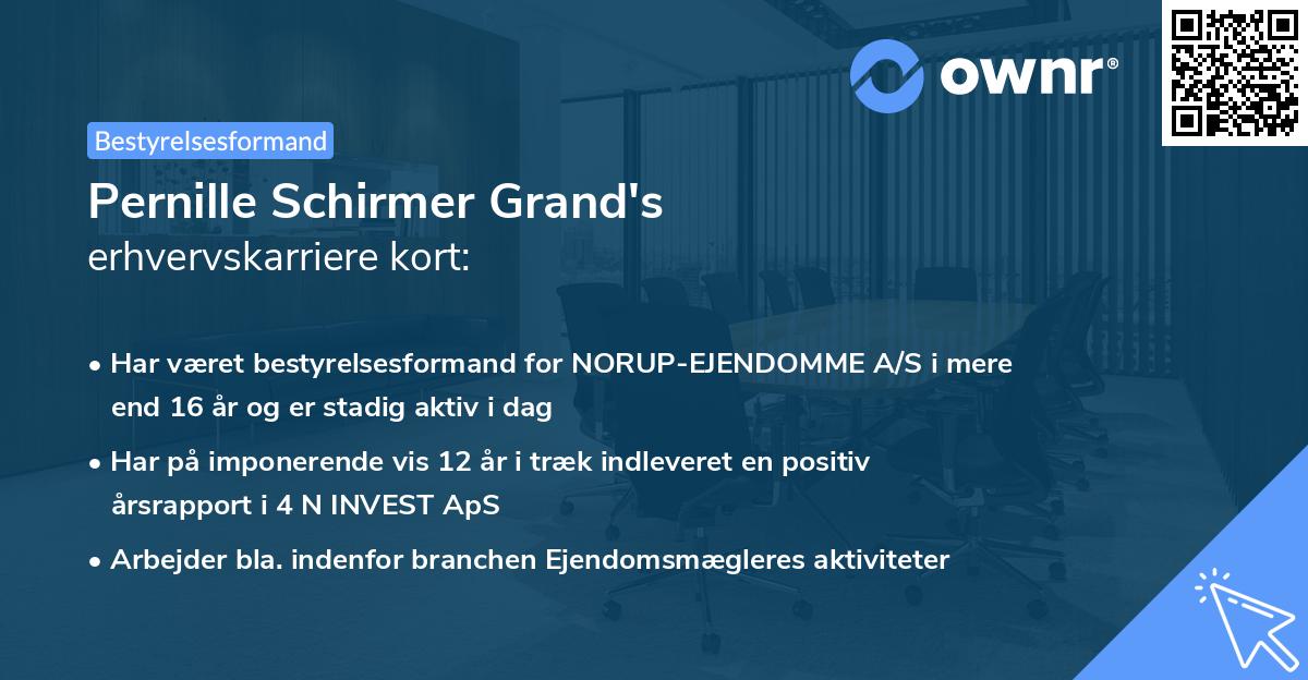 Pernille Schirmer Grand's erhvervskarriere kort