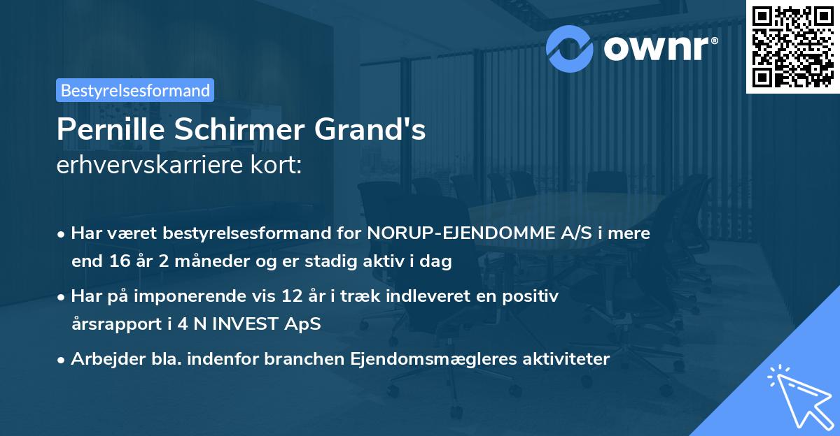 Pernille Schirmer Grand's erhvervskarriere kort