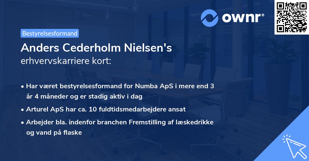 Anders Cederholm Nielsen's erhvervskarriere kort