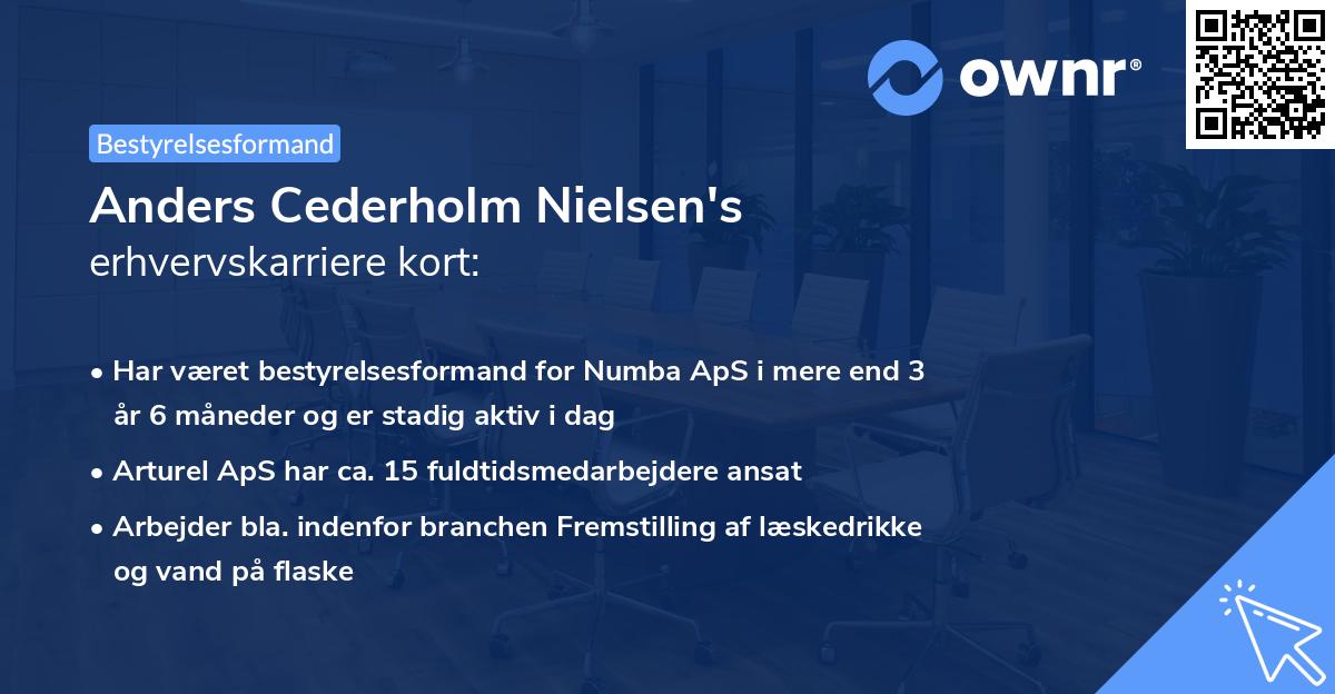 Anders Cederholm Nielsen's erhvervskarriere kort