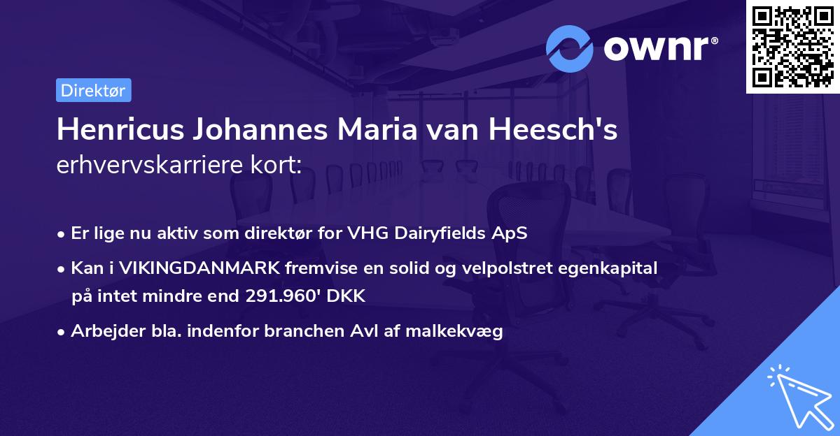 Henricus Johannes Maria van Heesch's erhvervskarriere kort