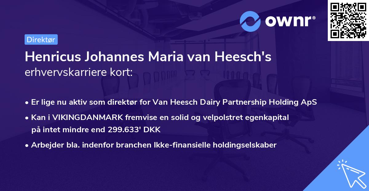 Henricus Johannes Maria van Heesch's erhvervskarriere kort