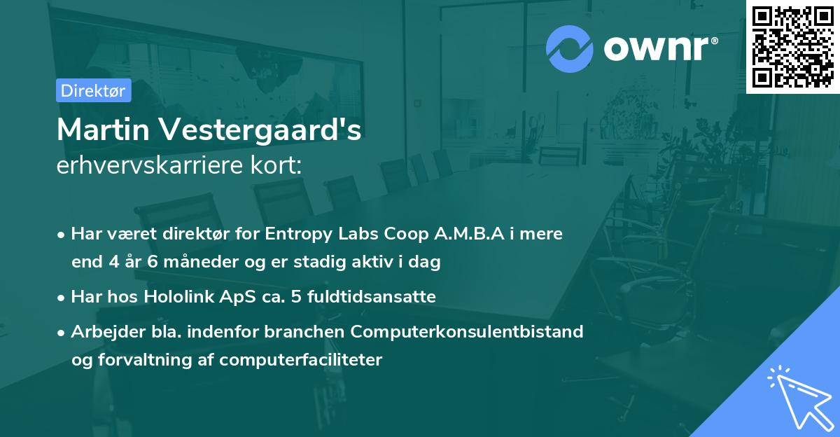 Martin Vestergaard's erhvervskarriere kort