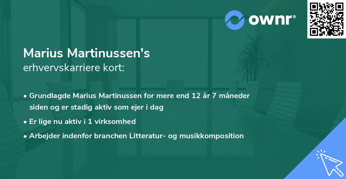 Marius Martinussen's erhvervskarriere kort