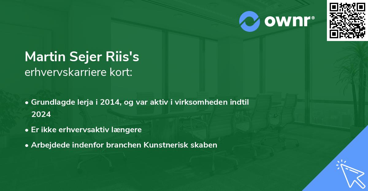 Martin Sejer Riis's erhvervskarriere kort