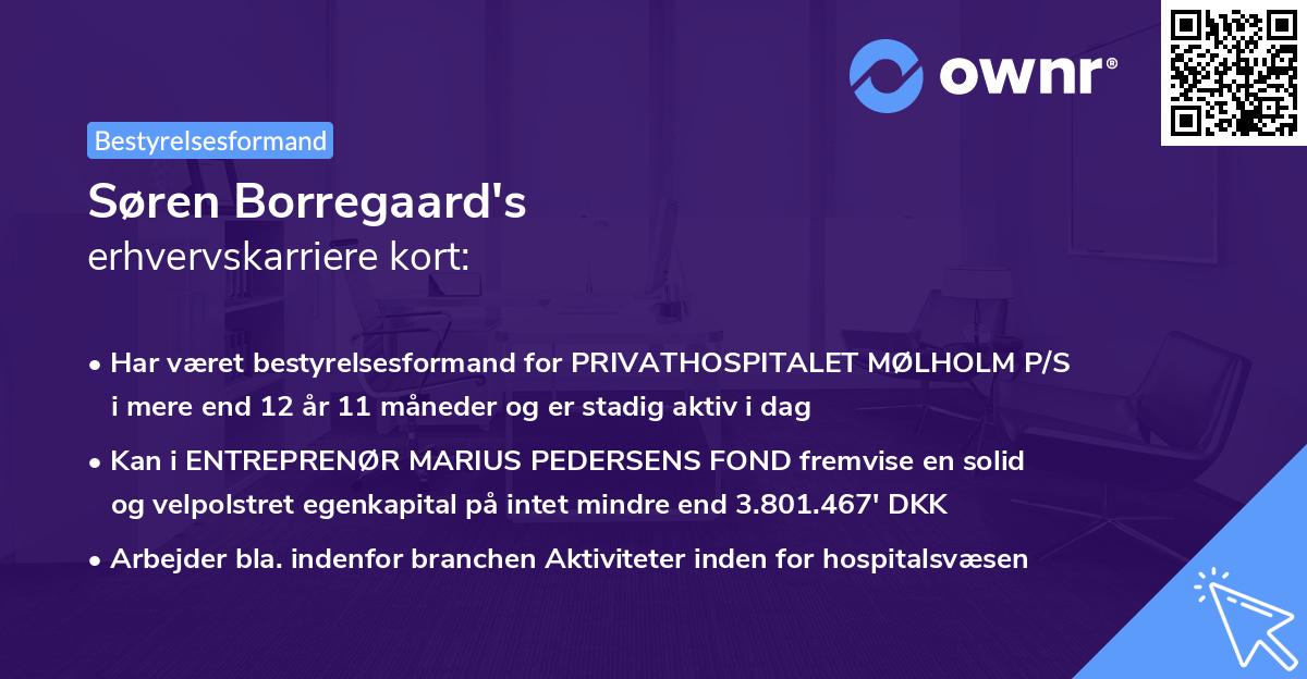 Søren Borregaard's erhvervskarriere kort