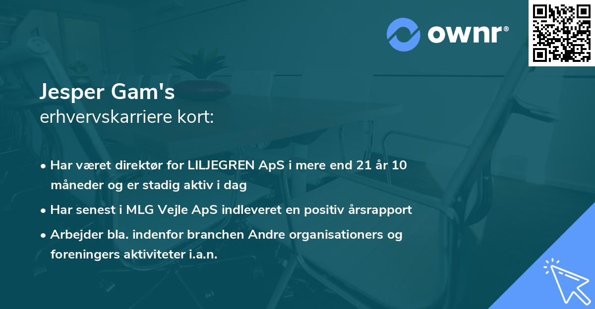 Jesper Gam's erhvervskarriere kort