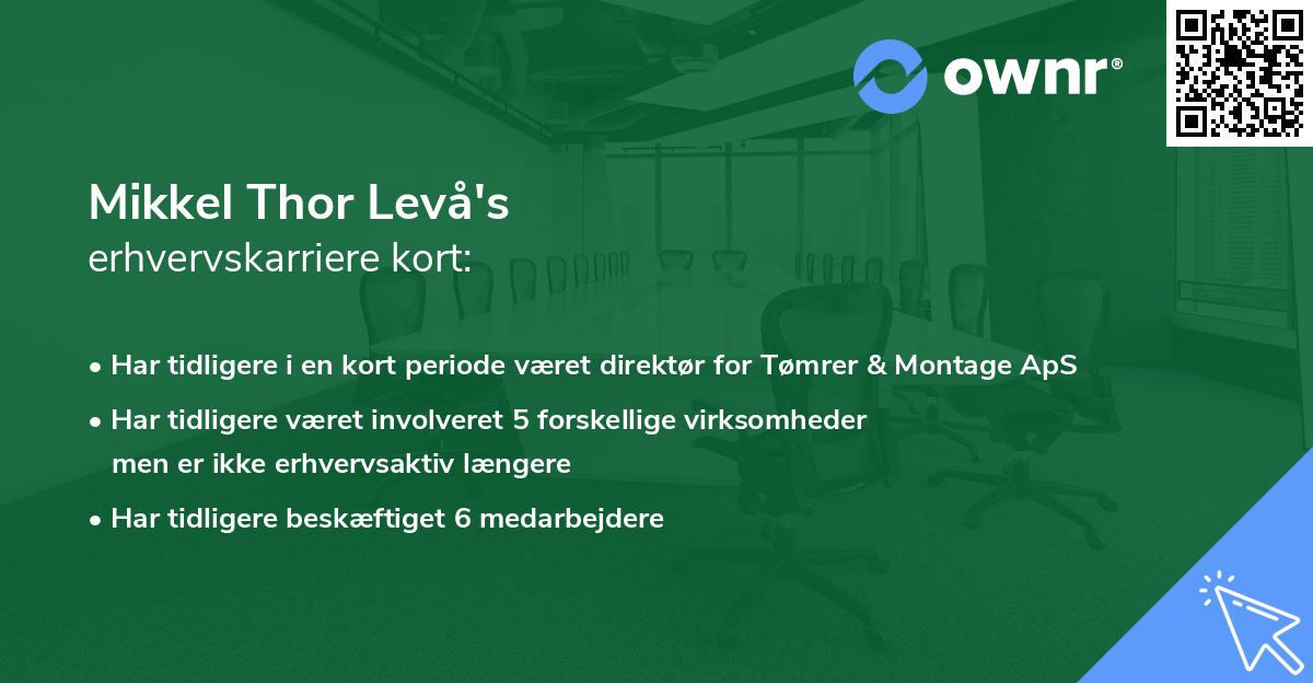 Mikkel Thor Levå's erhvervskarriere kort