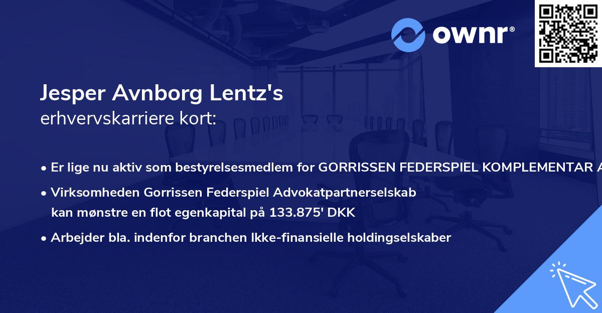 Jesper Avnborg Lentz's erhvervskarriere kort