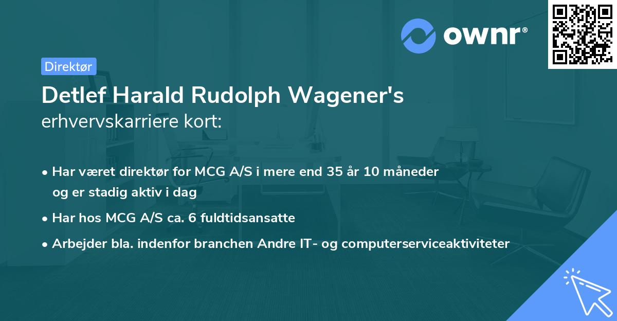 Detlef Harald Rudolph Wagener's erhvervskarriere kort