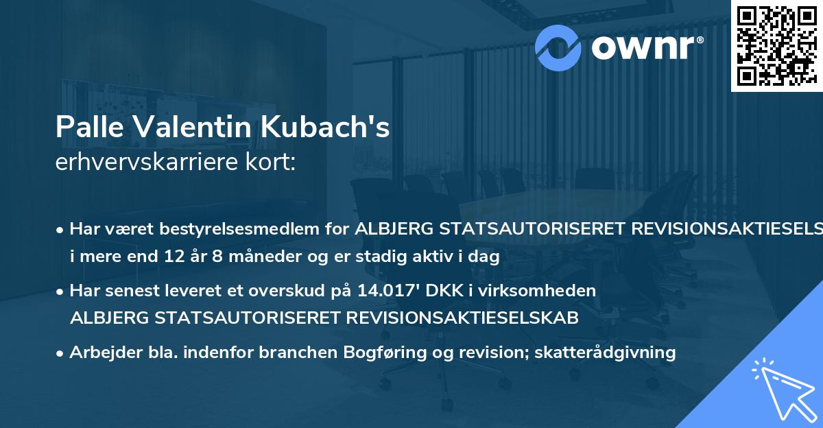 Palle Valentin Kubach's erhvervskarriere kort