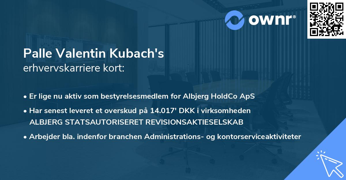 Palle Valentin Kubach's erhvervskarriere kort