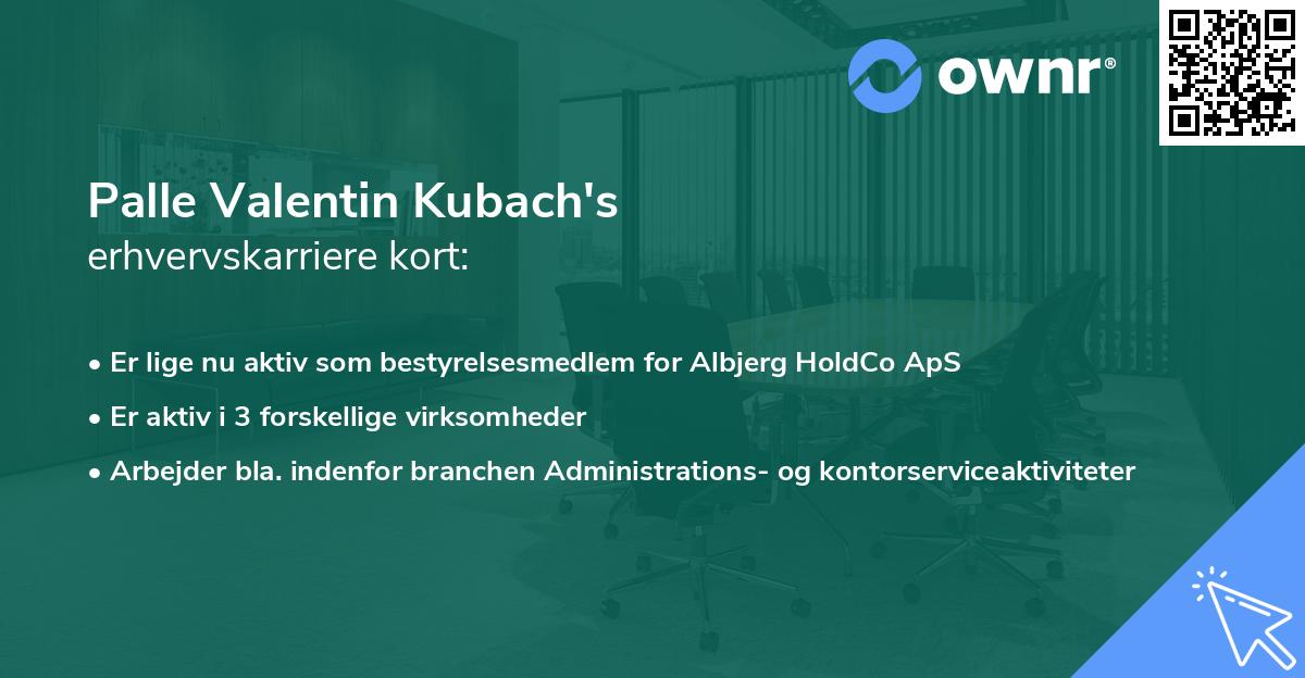 Palle Valentin Kubach's erhvervskarriere kort