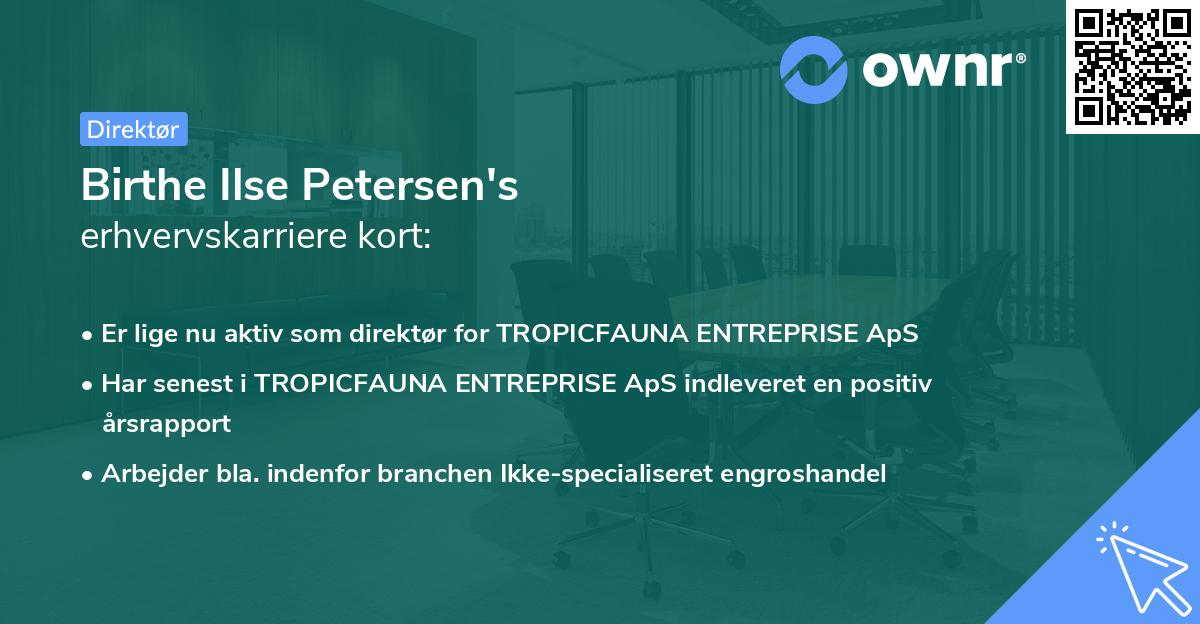 Birthe Ilse Petersen's erhvervskarriere kort