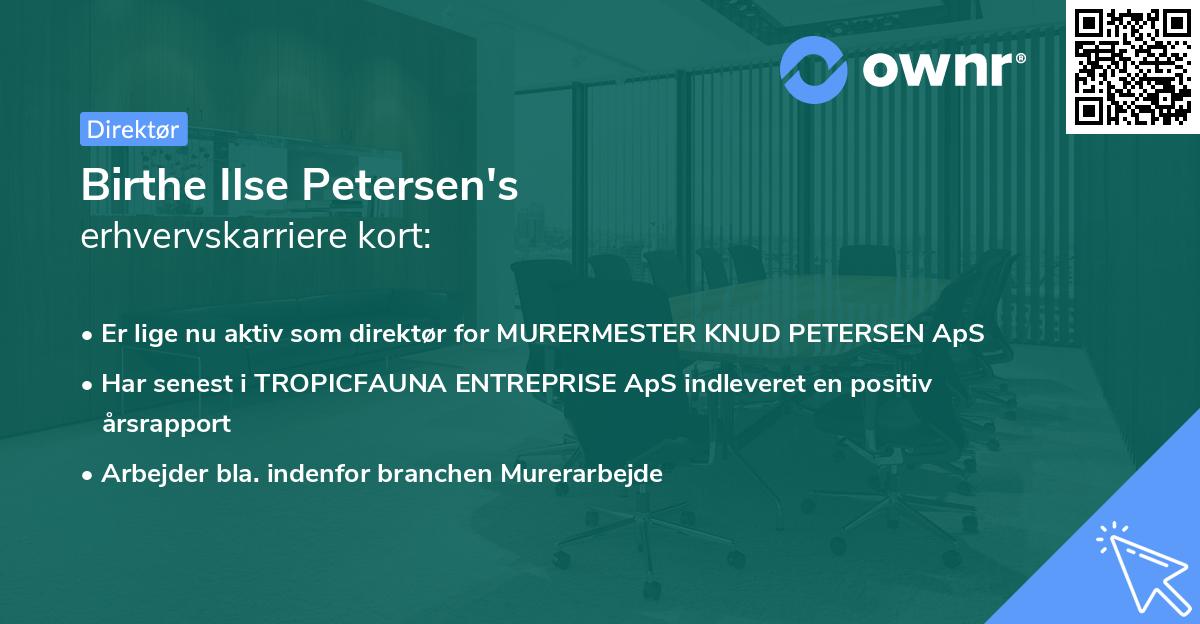 Birthe Ilse Petersen's erhvervskarriere kort