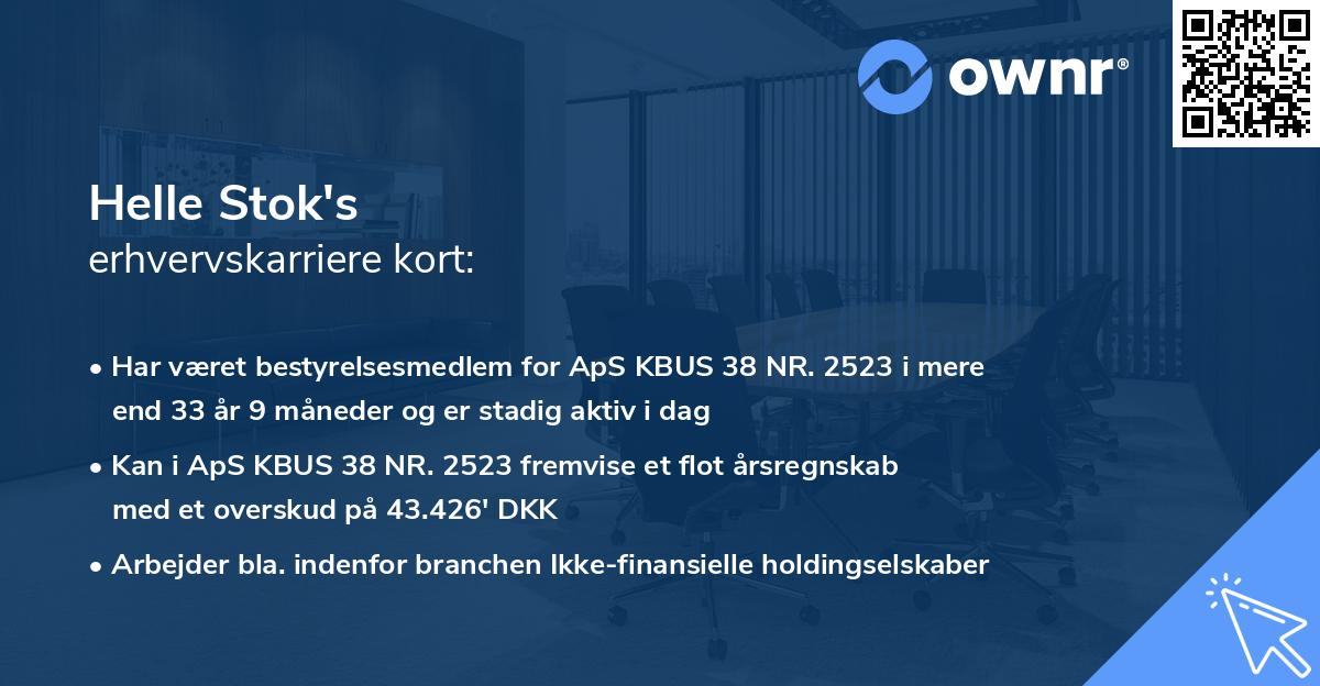 Helle Stok's erhvervskarriere kort