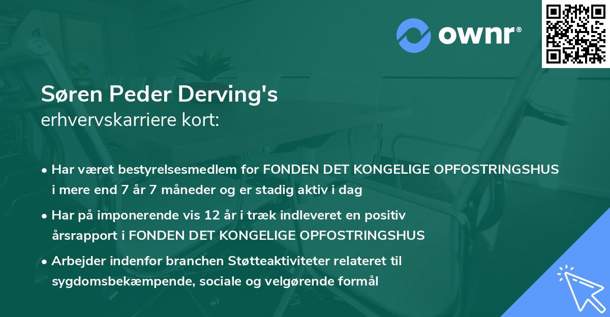 Søren Peder Derving's erhvervskarriere kort