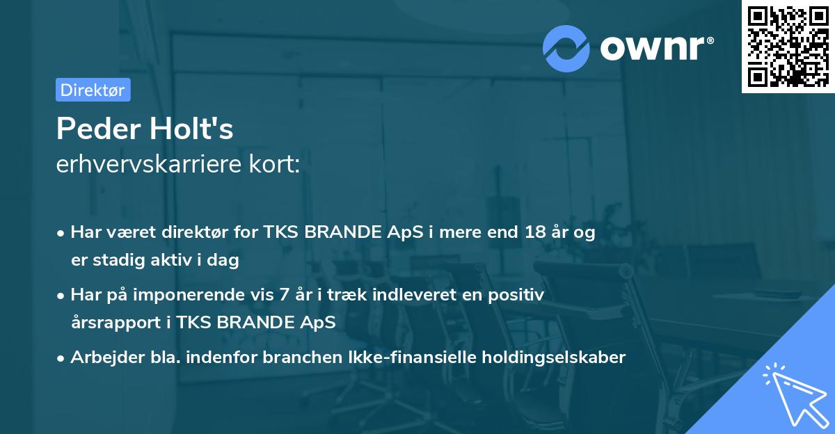 Peder Holt's erhvervskarriere kort