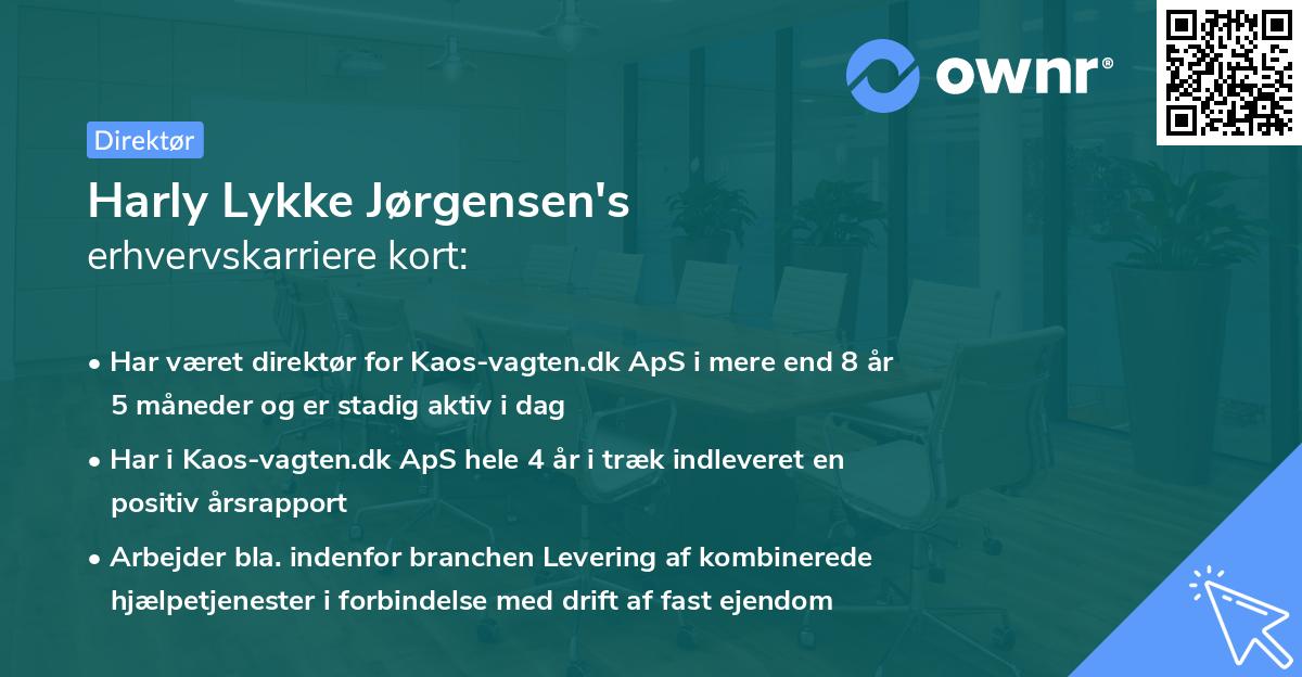 Harly Lykke Jørgensen's erhvervskarriere kort