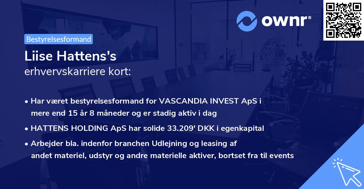 Liise Hattens's erhvervskarriere kort
