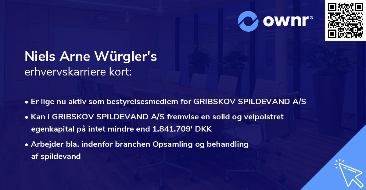 Niels Arne Würgler's erhvervskarriere kort