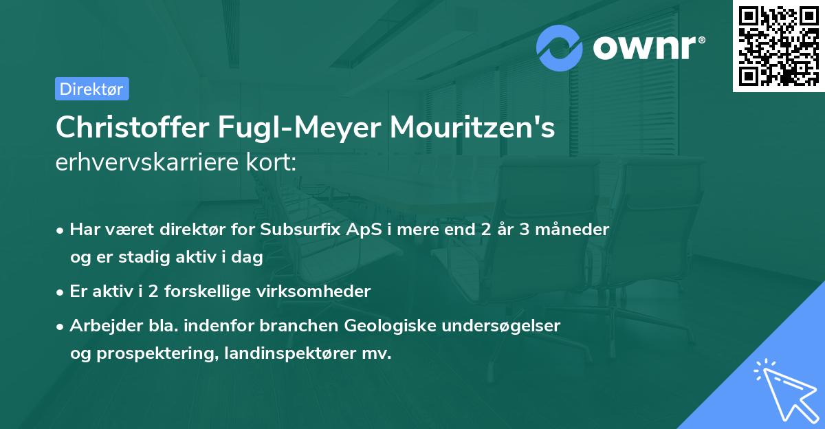 Christoffer Fugl-Meyer Mouritzen's erhvervskarriere kort
