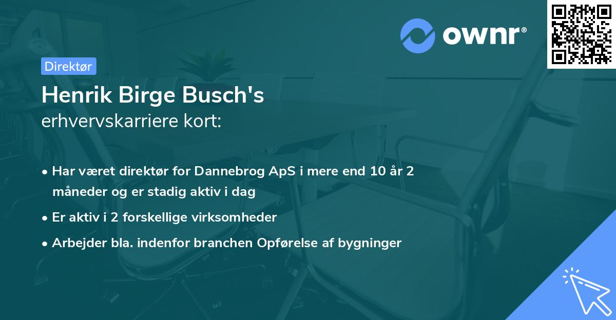 Henrik Birge Busch's erhvervskarriere kort