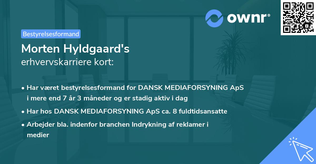 Morten Hyldgaard's erhvervskarriere kort