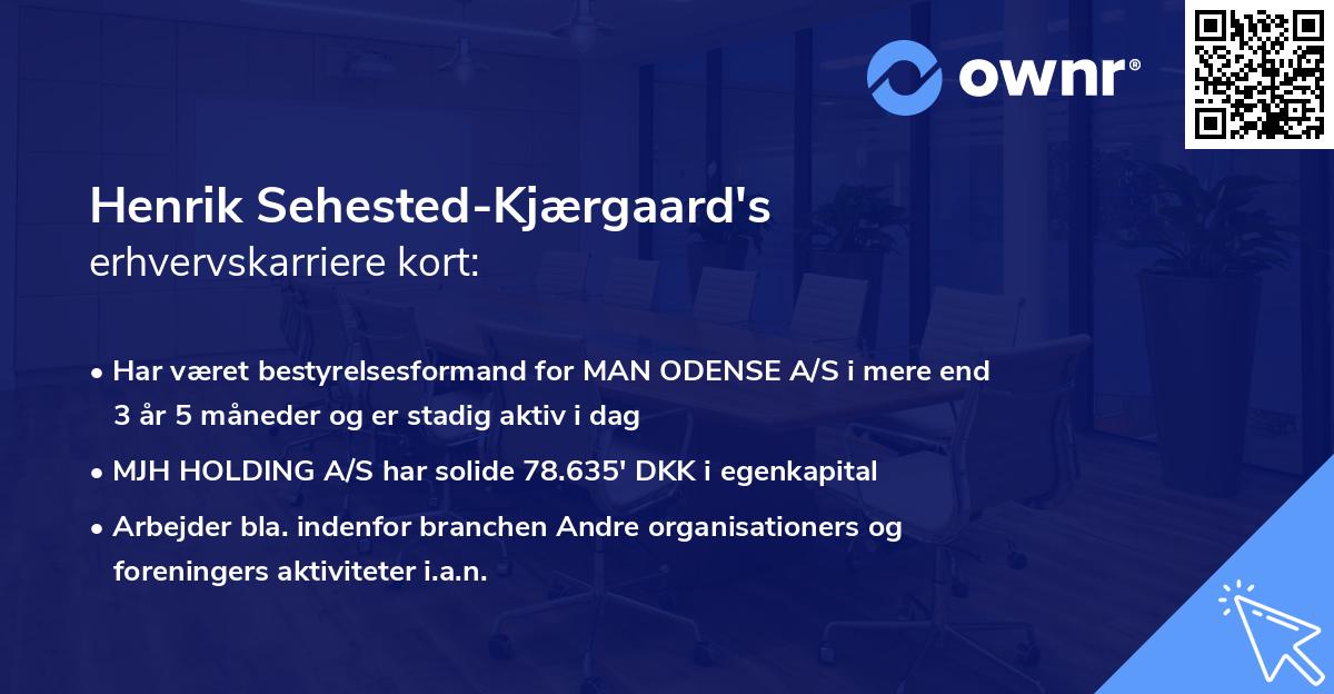 Henrik Sehested-Kjærgaard's erhvervskarriere kort