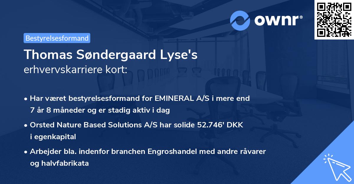 Thomas Søndergaard Lyse's erhvervskarriere kort