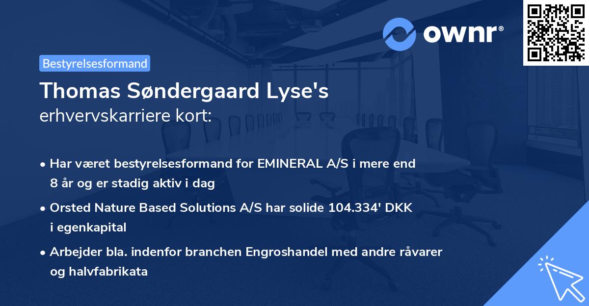 Thomas Søndergaard Lyse's erhvervskarriere kort