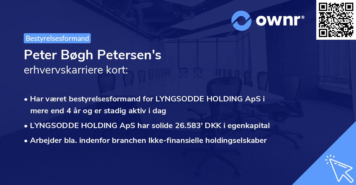 Peter Bøgh Petersen's erhvervskarriere kort