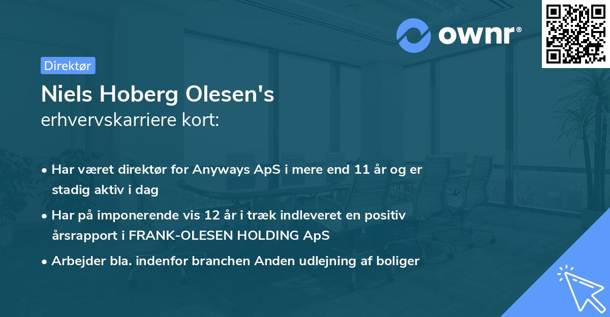 Niels Hoberg Olesen's erhvervskarriere kort