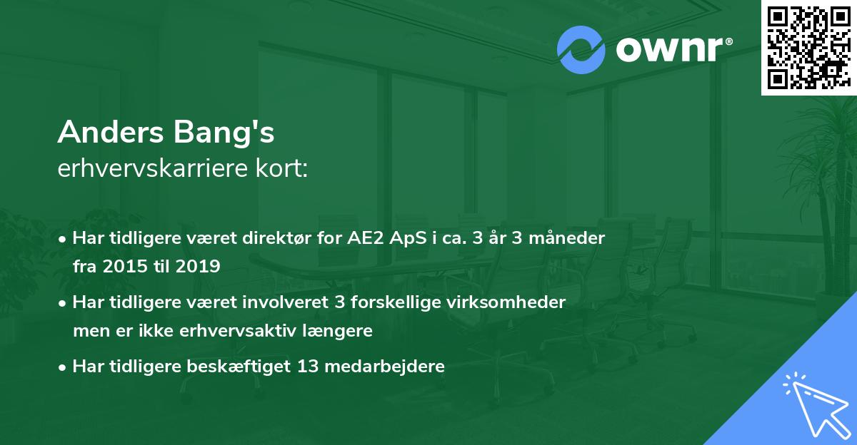 Anders Bang's erhvervskarriere kort
