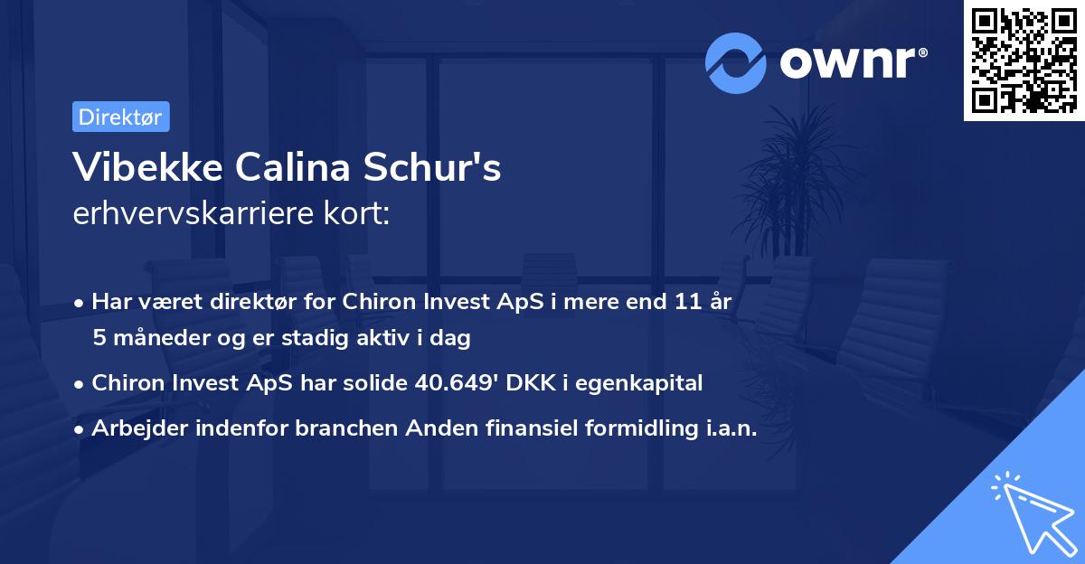 Vibekke Calina Schur's erhvervskarriere kort