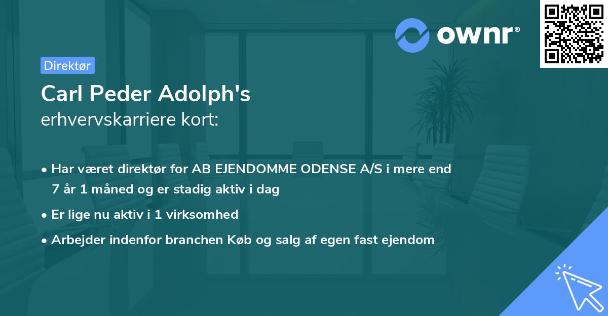 Carl Peder Adolph's erhvervskarriere kort