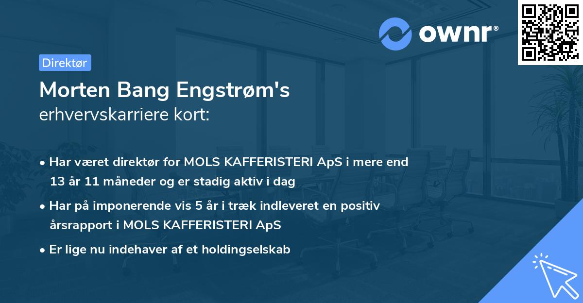 Morten Bang Engstrøm's erhvervskarriere kort