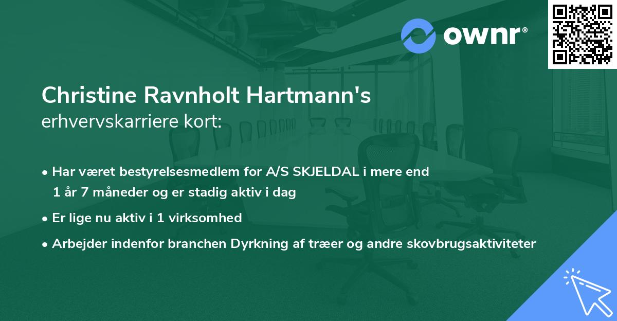 Christine Ravnholt Hartmann's erhvervskarriere kort