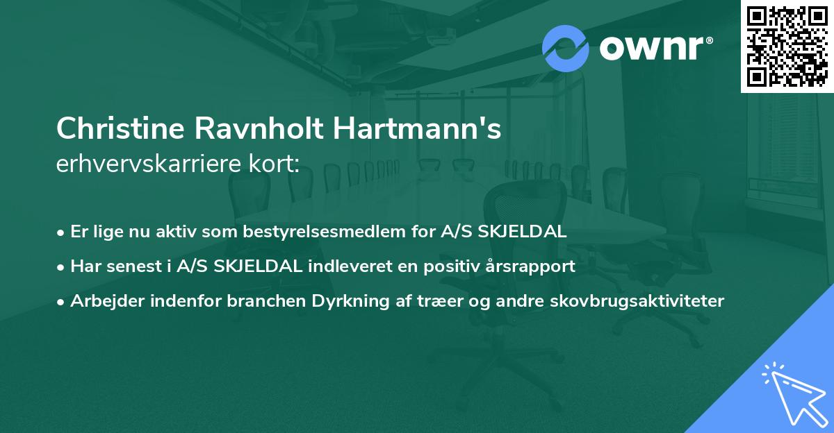 Christine Ravnholt Hartmann's erhvervskarriere kort