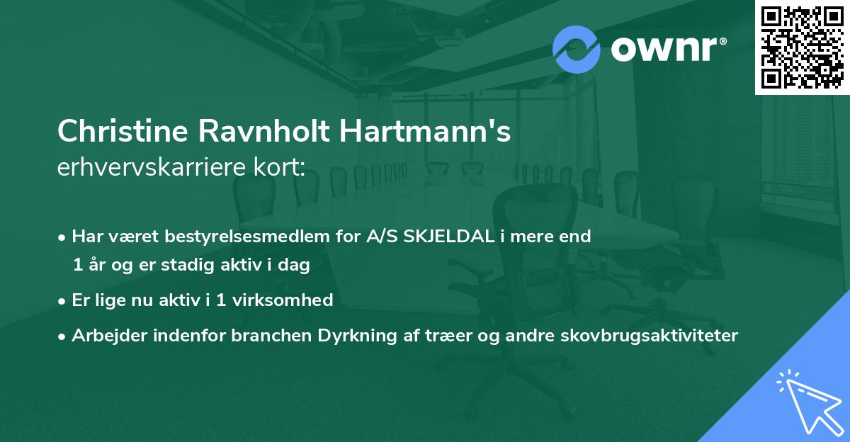 Christine Ravnholt Hartmann's erhvervskarriere kort